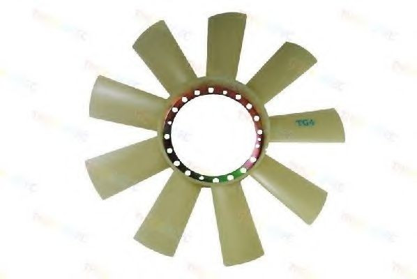 Elice ventilator racire motor MERCEDES SPRINTER 2-t bus (901, 902) (1995 - 2006) THERMOTEC D9M001TT