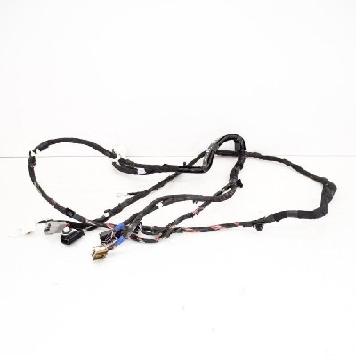 Cablaj ușă st&amp;acirc;nga spate TESLA MODEL X 2017 OEM: 1064336-00-B 3262891 foto