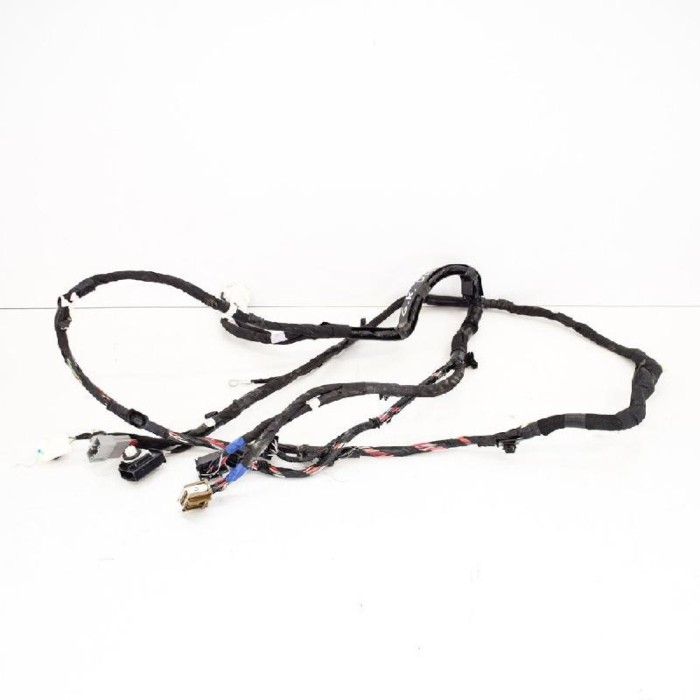Cablaj ușă st&acirc;nga spate TESLA MODEL X 2017 OEM: 1064336-00-B 3262891