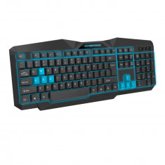 Tastatura Gaming USB, Esperanza Tirionos, iluminata LED albastru, 104 taste, neagra