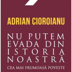 Cea mai frumoasa poveste. Vol. 2: Nu putem evada din istoria noastra - Adrian Cioroianu