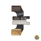 Banda Placa Apple Watch Series SE (2020) 40mm / 5 40mm Main