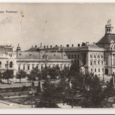 CPIB 15743 CARTE POSTALA - ORADEA. PIATA VICTORIEI, RPR