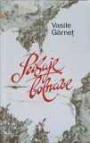 Peisaje Bolnave, Vasile Garnet - Poezii, 1990, Romana, Editura Chisinau, 77 pagini, Carte Beletristica