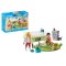 Playmobil - Set starter Familie de iepurasi