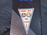 Fanion Romania - Italia