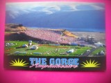 HOPCT 8348 THE GORGE AMPHITHEATRE -GEORGE,WASHINGTON -SUA-AMERICA DE NORD -NECIRCULATA-