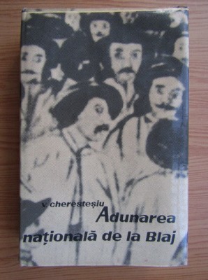 V. CHERESTESIU - ADUNAREA NAȚIONALĂ DE LA BLAJ - 1848 foto