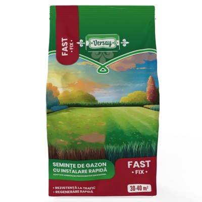 Seminte gazon refacere Versay, 1 kg foto