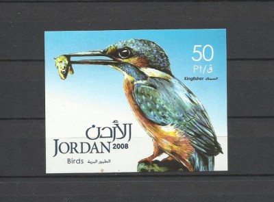 IORDANIA 2008 FAUNA PASARI foto