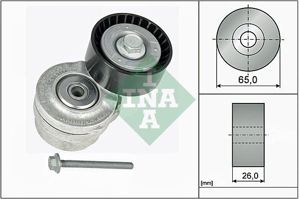 INA 534 0101 20 Intinzator curea, curea distributie