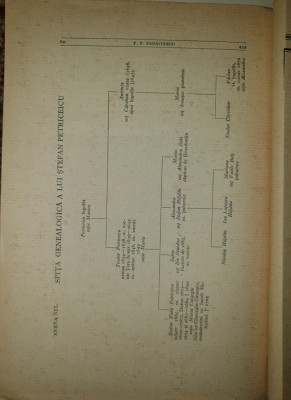 PRIBEGIA LUI CONSTANTIN BASARAB SI A LUI STEFAN PETRICEICU - P.P. PANAITESCU foto