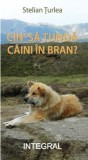 Cin&#039; sa tunda caini in Bran? | Stelian Turlea, Integral