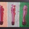 Tablou nou modern, -Relatie-pictor roman consacrat