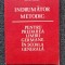 INDRUMATOR METODIC PENTRU PREDAREA LIMBII GERMANE IN SCOALA Stefanescu, Ghinescu