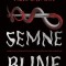 Semne Bune, Terry Pratchett, Neil Gaiman - Editura Art