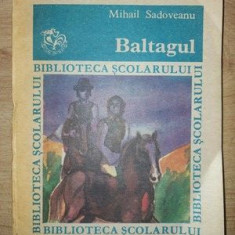 Baltagul- Mihail Sadoveanu