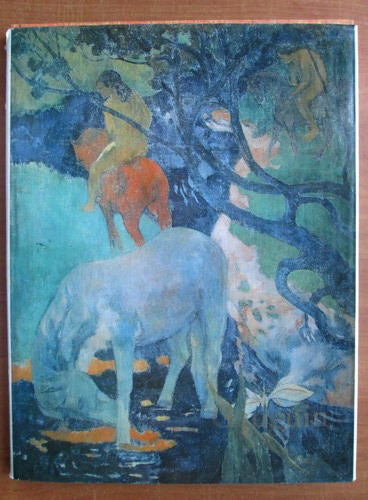 Nina Stanculescu-Zamfirescu - Gauguin