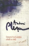 Despre frumusetea uitata a vietii - Andrei Plesu