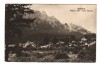 CPIB 21660 - CARTE POSTALA - BUSTENI. VEDERE SPRE MUNTII BUCEGI, RPR, Circulata, Fotografie