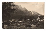 CPIB 21660 - CARTE POSTALA - BUSTENI. VEDERE SPRE MUNTII BUCEGI, RPR, Circulata, Fotografie