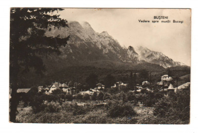 CPIB 21660 - CARTE POSTALA - BUSTENI. VEDERE SPRE MUNTII BUCEGI, RPR foto