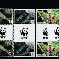Tonga 2016-Fauna,WWF,Cameleoni,serie 4 val.cu vigneta WWF.si serie,Mi,2098-2101