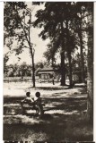 CPIB 22080 - CARTE POSTALA - CARANSEBES. PARCUL TEIUS