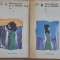 (C530) ANNE BRONTE - NECUNOSCUTA DE LA WILDFELL HALL (2 VOL.)