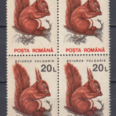 ROMANIA 1993 LP 1318 a FAUNA PROTEJATA EROARE O DIN ROMANA SPART STANGA JOS MNH