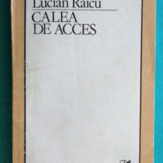 Lucian Raicu – Calea de acces ( critica literara )