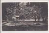 Carte postala circulata in 25 mai 1916