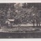 Carte postala circulata in 25 mai 1916