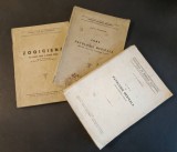 Cumpara ieftin 904 pag PATOLOGIE Animale Domestice Bolile Sistemului Nervos, Aparatul Urinar, Osos, Articulatiile, Muschii ZOOIGIENA. TIRAJE MICI Medicina Veterinara