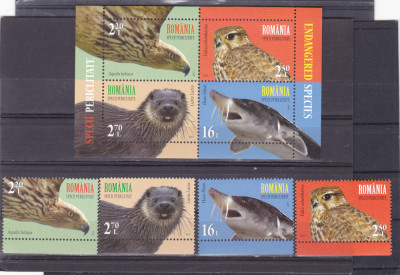 FAUNA,SPECII PERICLITATE,SERIE + BLOC,2017,Lp.2145,MNH.ROMANIA. foto