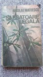 Sarbatoare legala, Nicolae Mateescu, 1990, 300 pag