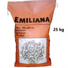 Seminte Lucerna Emiliana 25 kg