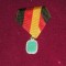 QW15 41 - decoratie - Simbol cruci - Fosta Germanie Democrata - DDR