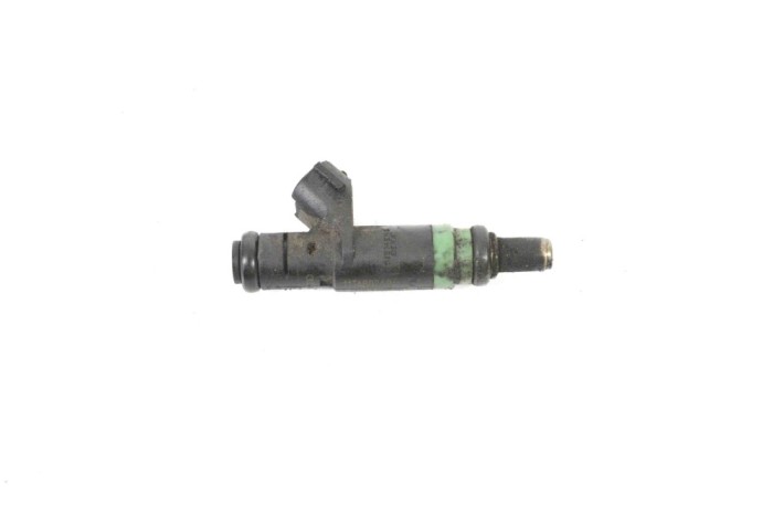 Injector de combustibil AUDI A6 4B2, C5 2005 OEM: 06C133551 12202155