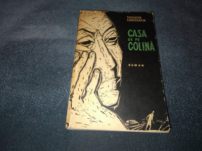 THEODOR CONSTANTIN - CASA DE PE COLINA foto