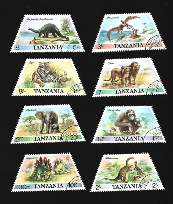 tanzania animale foto