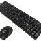 Kit de birou wireless USB A, US layout