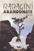Carte Radacini abandonate David Urs, HASEFER, Religie, Romana, Brosata, Buna stare
