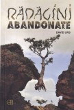 David Urs - Radacini abandonate
