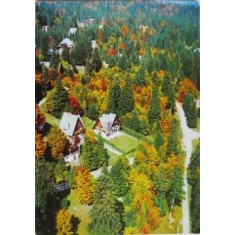 Sinaia. Vile pe Furnica (Carte postala circulata)
