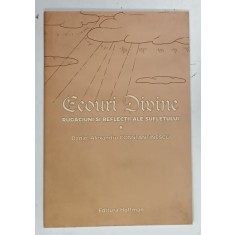 ECOURI DIVINE , RUGACIUNI SI REFLECTII ALE SUFLETULUI de DANIEL ALEXANDRU CONSTANTINESCU , 2024