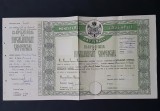 Diploma de bacalaureat comercial per. regalista