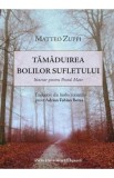 Tamaduirea bolilor sufletului - Matteo Zuppi