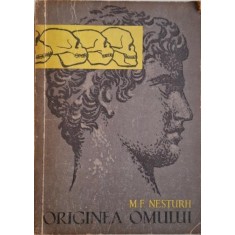 Originea omului &ndash; M. F. Nesturh
