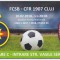 QW13 8 - Bilet acces parcare - FCSB Steaua - CFR 1907 Cluj - 10 februarie 2018